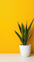 A vibrant indoor plant in a white pot against a bright yellow wall, adding warmth. photo