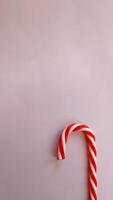candy can lane red white macro zoom pink background unique photo