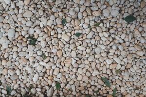 Pebble stone background texture. A pile of pebble stones. photo