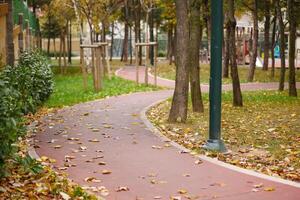 A beautiful scenic park pathway adorned with colorful autumn leaves and towering trees photo