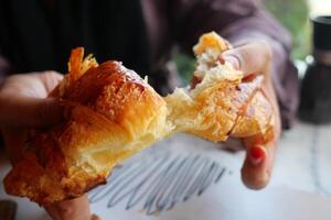 A Freshly Baked Croissant is Being Enthusiastically Torn Apart in Grasped Hands, Warm and Flaky photo