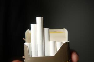 A freshly opened cigarette pack featuring several white cigarettes neatly arranged inside photo