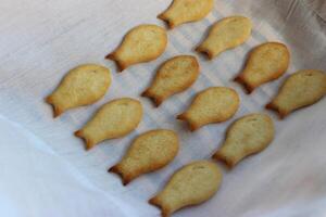 Fresh fish-shaped crackers with cheese on a white towel angle view photo