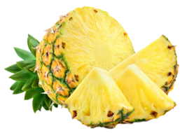 tropical pineapple art png
