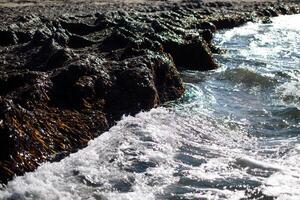the coast of the sea near Paphos, Cyprus photo