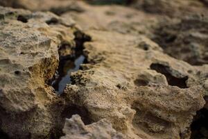 a textured landscape of wet, rocky terrain with shallow pools of water, surface appears rugged and uneven, showcasing natural erosion patterns photo