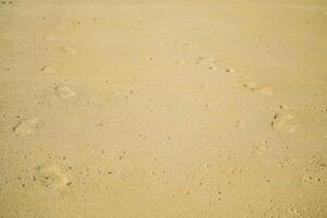 a yellow sand desert near Larnaca, Cyprus photo