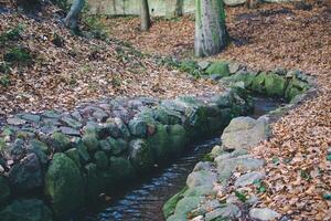 a stream lined with stones autumn photo
