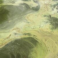 Abstract background of mud and pollen in pond water. Square composition. photo