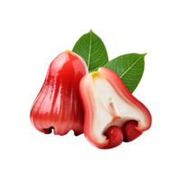 vermelho rosa maçã fruta com fatia em transparente fundo png