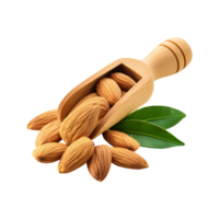 Wooden scoop of Almond nut with leaf on transparent background png