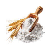 Wooden scoop of flour with wheat bunch on transparent background png
