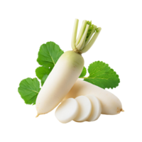 White radish with slices and leaf on transparent background png