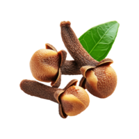 Clove with leaf on transparent background png