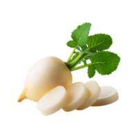 Fresh White radish with slices on transparent background png