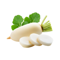Fresh White radish with slice and leaf on transparent background png
