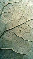 Close-up of a green leaf with detailed veins, natural texture, macro photography concept photo