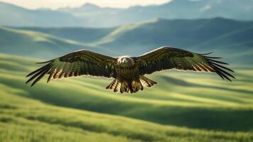 Eagle soaring over lush green hills in daylight, majestic wildlife and nature concept photo