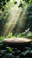 Wooden circular platform in lush green forest with sunbeams, nature and tranquility concept photo