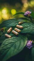 Herbal capsules on green leaves with flowers, natural medicine concept photo