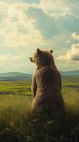 Bear sitting in lush meadow under cloudy sky, serene nature scene. wilderness and tranquility concept photo