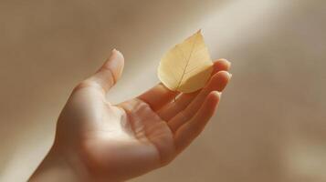 Hand holding a yellow leaf in soft sunlight, warm and serene moment. Nature and tranquility concept photo