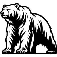Menacing polar bear stands in threatening pose and looks forward in monochrome. Simple minimalistic image in black ink drawing on white background vector