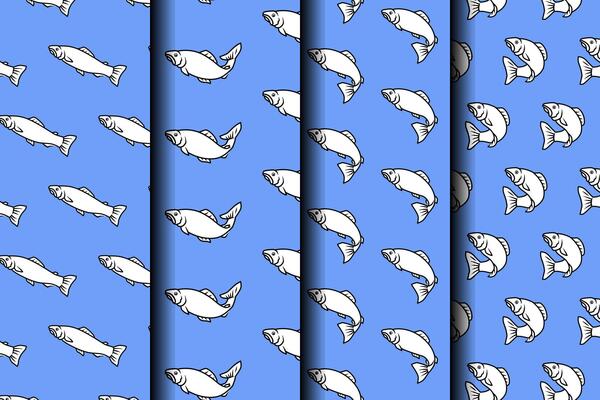 sea trout fish with various poses outline seamless pattern on blue background set. trout fish minnows illustration pattern background collection for fish shop, fishing sport, restaurant seafood