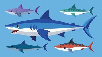 sharks are shown in different colors and sizes vector