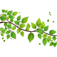 Green leaves on a branch png