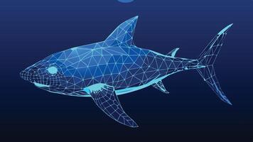 a shark is shown in a low polygonal style vector