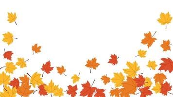 Red, yellow and orange maple leaf decor invitation greeting card, frame fall season and autumn background vector
