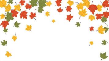 Background with falling multicolor maple leaves in flat style. Natural fall season, thanksgiving and holiday vector