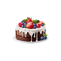 A cake with berries and chocolate on it png