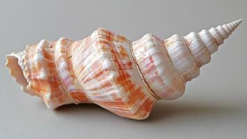 Elegant seashell resting on a smooth surface, showcasing natural patterns and colors. photo