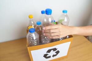 Volunteer keep plastic bottle into paper box at home or office. Hand Sorting Recycle garbage. Ecology, Environmental, pollution, Dispose recycling, waste management and trash Separation concept photo