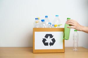 Volunteer keep plastic bottle into paper box at home or office. Hand Sorting Recycle garbage. Ecology, Environmental, pollution, Dispose recycling, waste management and trash Separation concept photo