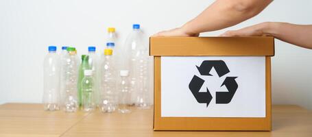Volunteer keep plastic bottle into paper box at home or office. Hand Sorting Recycle garbage. Ecology, Environmental, pollution, Dispose recycling, waste management and trash Separation concept photo