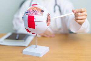 Doctor with human Eye anatomy model with magnifying glass. Eye disease, Refractive Errors, Age Related Macular Degeneration, Cataract, Diabetic Retinopathy, Glaucoma, Amblyopia, Strabismus and Health photo