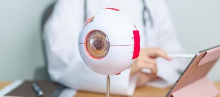 Doctor with human Eye anatomy model with magnifying glass. Eye disease, Refractive Errors, Age Related Macular Degeneration, Cataract, Diabetic Retinopathy, Glaucoma, Amblyopia, Strabismus and Health photo