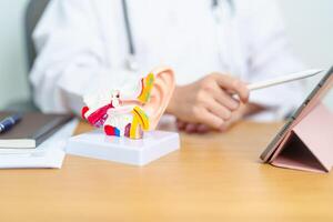 Doctor with human Ear anatomy model with tablet. Ear disease, Atresia, Otitis Media, Pertorated Eardrum, Meniere syndrome, otolaryngologist, Ageing Hearing Loss, Schwannoma and Health photo