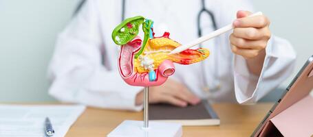 Doctor with human Pancreatitis anatomy model with Pancreas, Gallbladder, Bile Duct, Duodenum, Small intestine and tablet. Pancreatic cancer, acute pancreatitis and Digestive system photo
