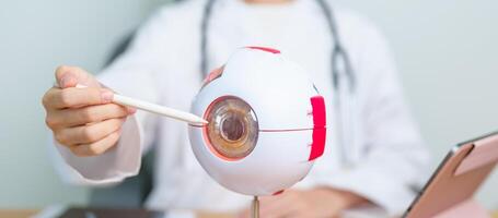 Doctor with human Eye anatomy model with magnifying glass. Eye disease, Refractive Errors, Age Related Macular Degeneration, Cataract, Diabetic Retinopathy, Glaucoma, Amblyopia, Strabismus and Health photo