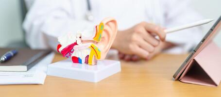 Doctor with human Ear anatomy model with tablet. Ear disease, Atresia, Otitis Media, Pertorated Eardrum, Meniere syndrome, otolaryngologist, Ageing Hearing Loss, Schwannoma and Health photo