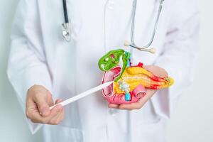 Doctor with human Pancreatitis anatomy model with Pancreas, Gallbladder, Bile Duct, Duodenum, Small intestine. Pancreatic cancer, Acute and Chronic pancreatitis, Digestive system and Health concept photo