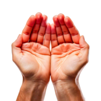 hands in the form of a heart png