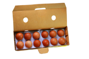 An open carton egg box containing eggs is isolated on a transparent background png