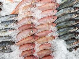 Top view group of raw fresh fish on the tray with ice at the food store photo