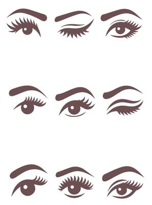 The Brow Bar collection logo