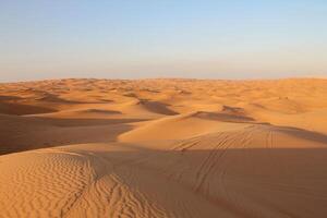 Beautiful sand dunes in the desert. Desert in the evening. photo